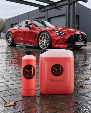 servFaces Wash Concentrate (High-Concentrate) 1000 ml / 1 litre et 10 litres sur des pavés mouillés après le lavage