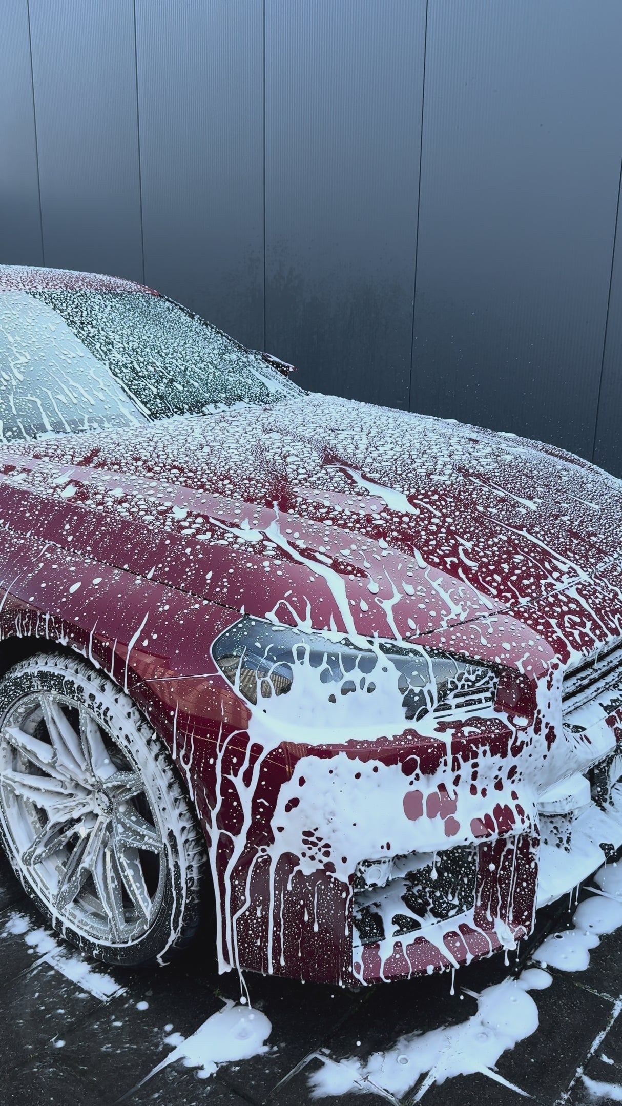 Protector-Wax "Pw" Konservierungswachs